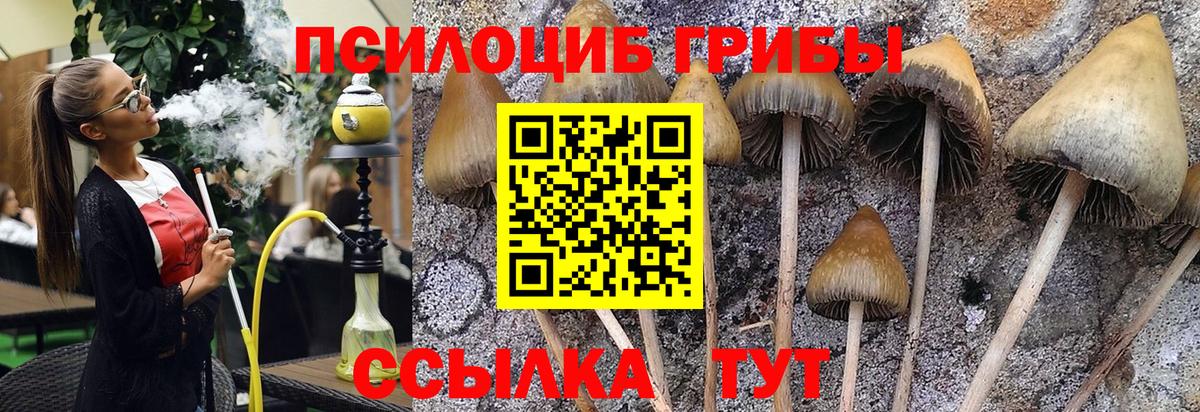 Псилоцибиновые грибы прущие грибы Серпухов